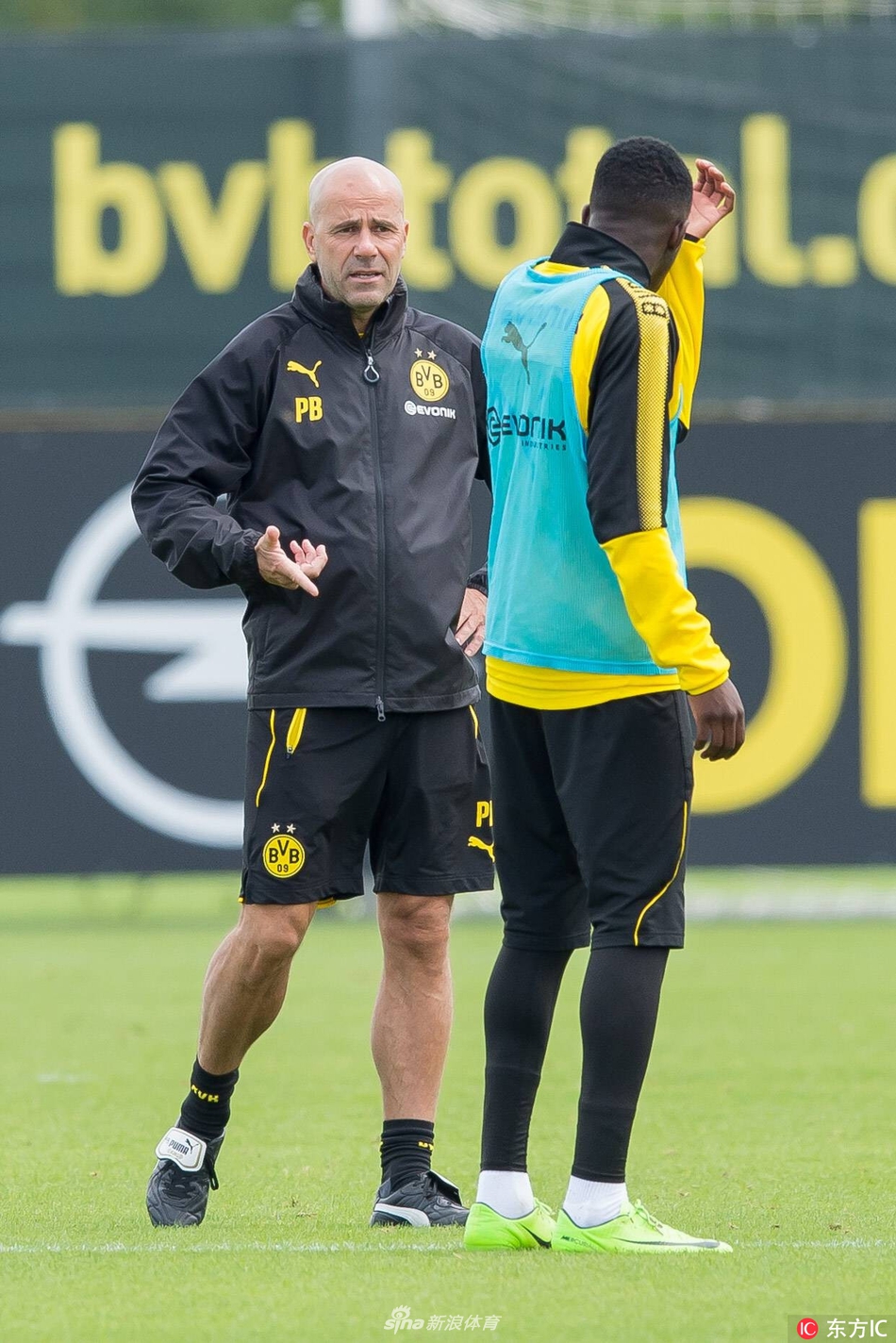 国际比赛日体能课后，本菲卡单刀错失备战德国杯，质疑声仍在，训练强度明显提升的简单介绍