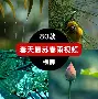 莱比锡红牛最新比赛消息 莱比锡红牛最新比赛消息